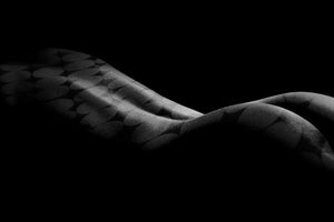 LUNARES — obra Nº 002