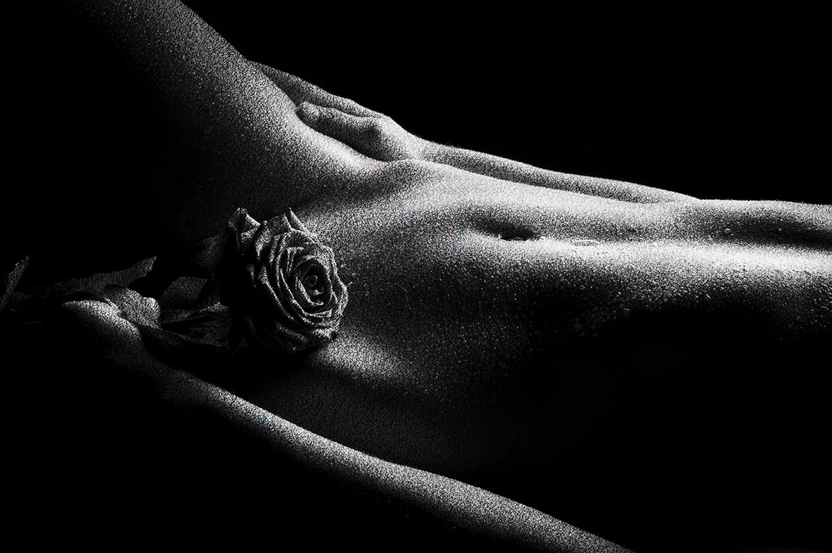 ROSA — obra Nº 014