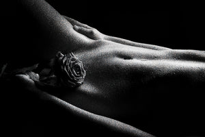 ROSA — obra Nº 014